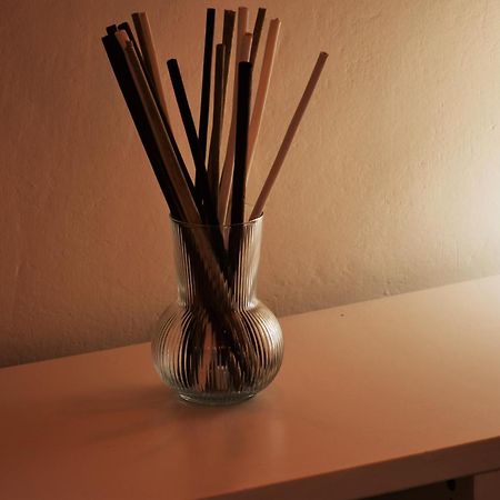 Apartment Dalla Mirella フィレンツェ エクステリア 写真